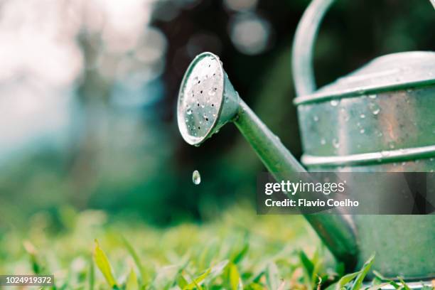 watering can water drops on garden grass - watering can stock pictures, royalty-free photos & images