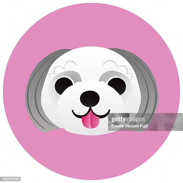 a shih tzu on a pink circular background - shih tzu stock illustrations