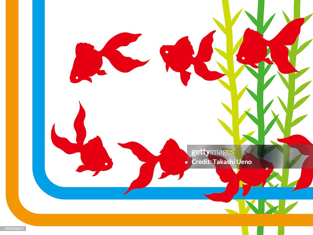A print of gold fish swimming in a bowl