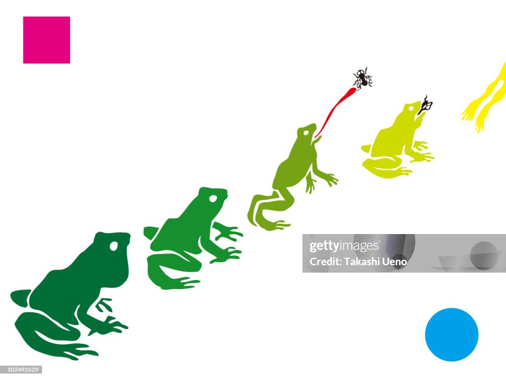A stencil of frogs in a row