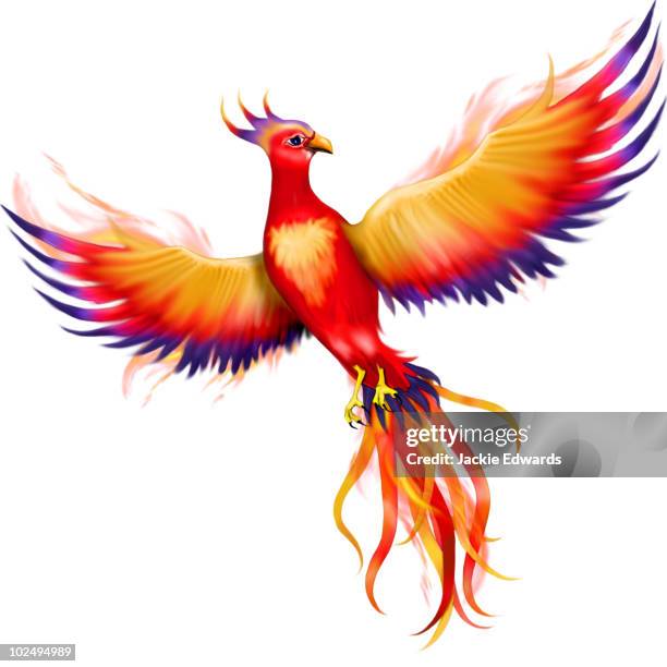 248点の鳳凰 イラストのストックフォト Getty Images 248点の鳳凰 イラストのストックフォト Getty Images
