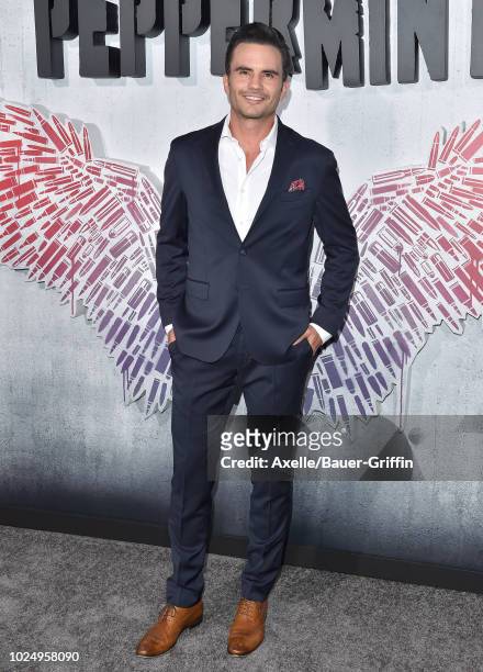 Juan Pablo Raba attends the premiere of STX Entertainment's 'Peppermint' at Regal Cinemas L.A. LIVE Stadium 14 on August 28, 2018 in Los Angeles,...