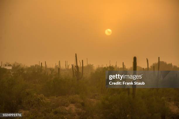 haboob in sonoran desert - haboob stock pictures, royalty-free photos & images
