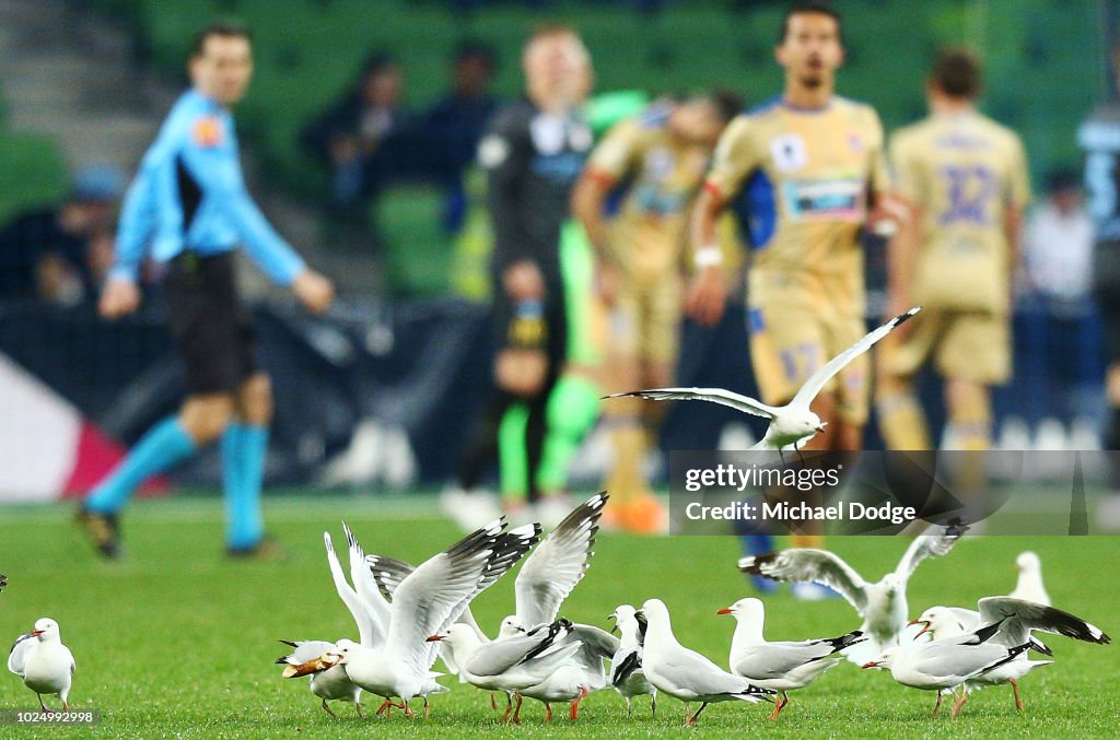 FFA Cup Rd of 16 - Melbourne City v Newcastle Jets