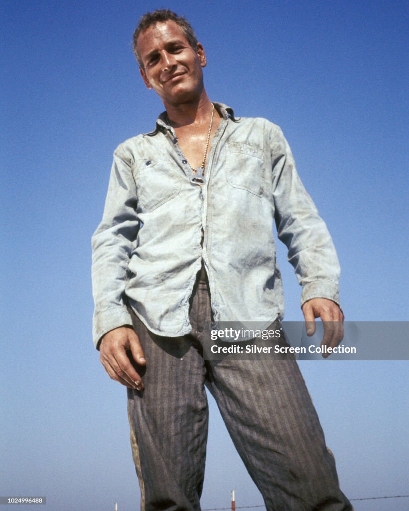 Paul Newman In Cool Hand Luke