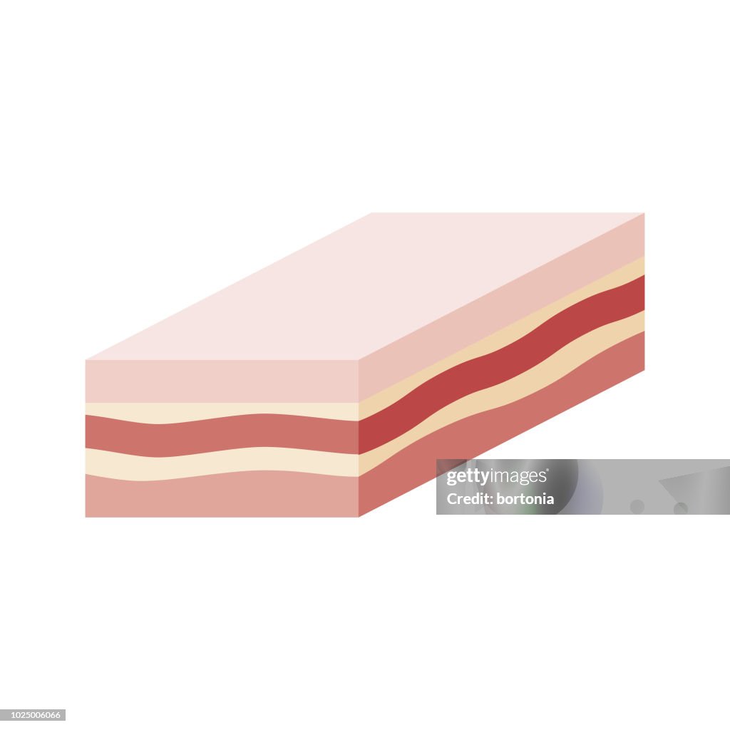 Pork Belly Flat Design Meat Icon
