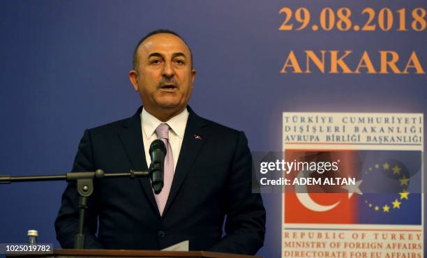 Turkish Foreign Minister Mevlut Cavusoglu speaks during a press conference after a "Reform Action Group" meeting held by the Presidency of the...