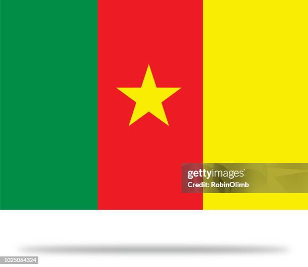 kamerun flagge mit schatten - kamerun stock-grafiken, -clipart, -cartoons und -symbole