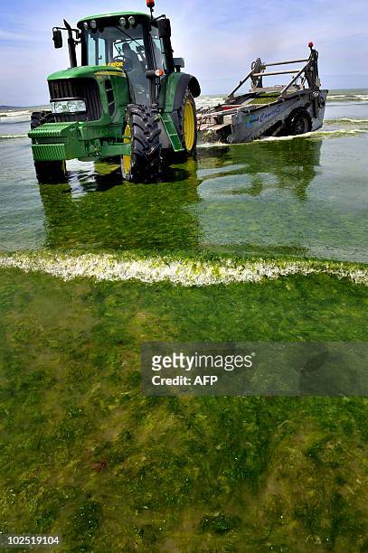 Local employees test a new device to remove green algae from the Saint-Michel-en-Greves beach, western France, on June 29, 2010. A campaign began in...