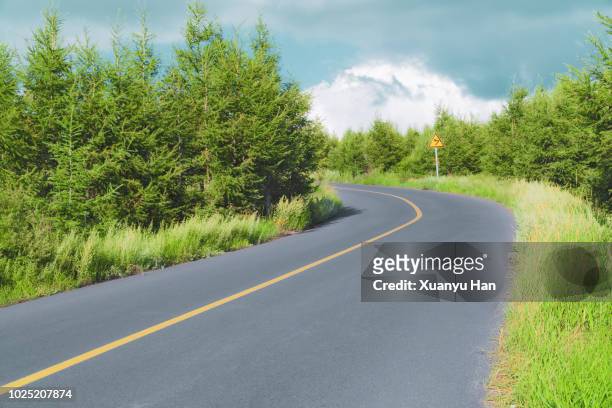 road lined by green trees - arrows landscapes stock pictures, royalty-free photos & images