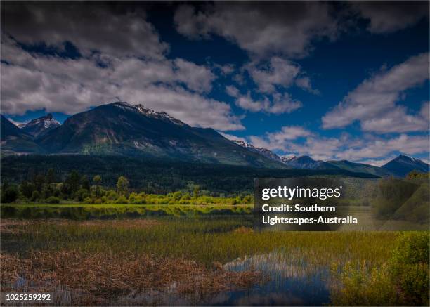 columbia river view at golden, british columbia, canada - golden-colombie-britannique photos et images de collection