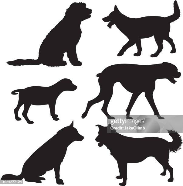 hund-silhouetten 8 - shaggy fur stock-grafiken, -clipart, -cartoons und -symbole