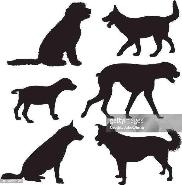 ilustraciones, imágenes clip art, dibujos animados e iconos de stock de siluetas de perro 8 - shaggy fur