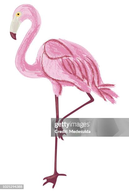 flamingo watercolor vector - flamingo pattern stock illustrations