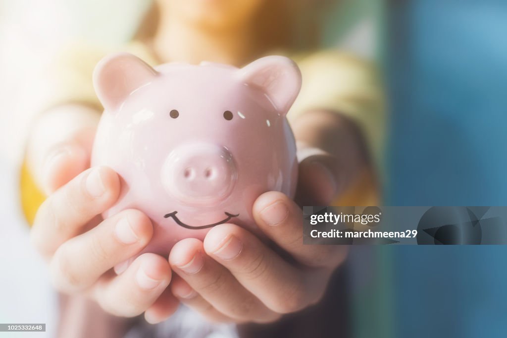 Female hand holding piggy bank. Save money and financial investment