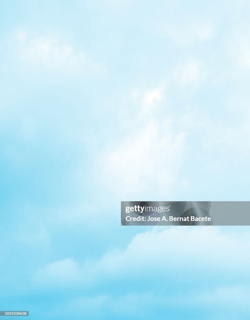 Background of forms and abstract figures of smoke and steam of colors on a white and soft blue background.