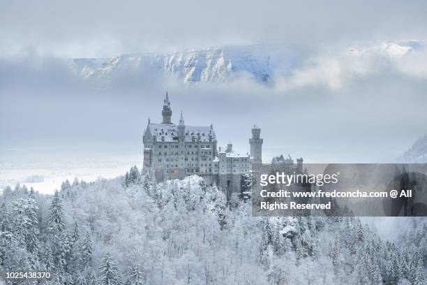 neuschwanstein castle with snow - neuschwanstein winter stock pictures, royalty-free photos & images