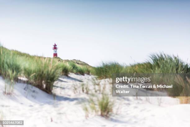 beach, dunes and sea on sylt. - beach dunes stock-fotos und bilder