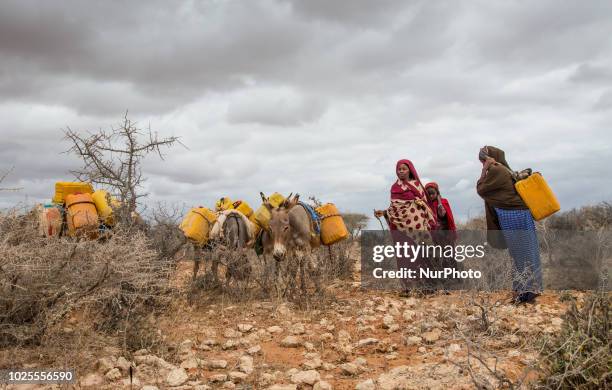 Mandera 45 Mandera County Photos & High Res Pictures - Getty Images