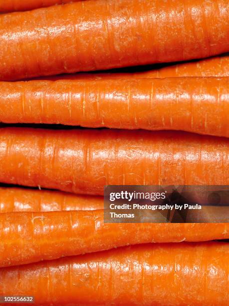 clean carrots - möhre stock-fotos und bilder
