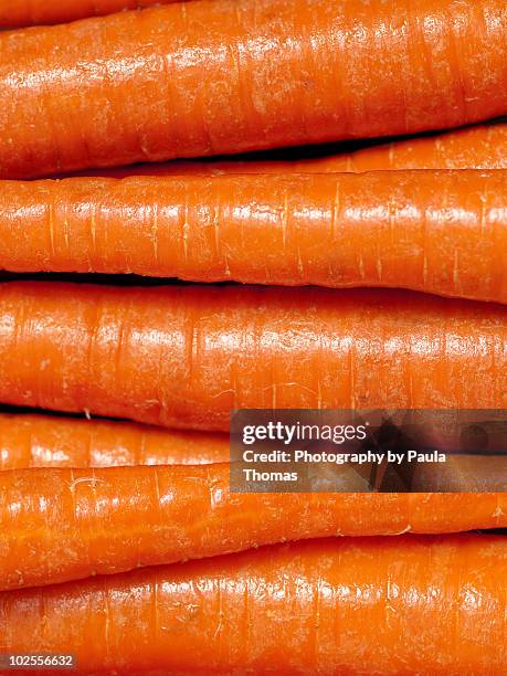 clean carrots - carrot fotografías e imágenes de stock