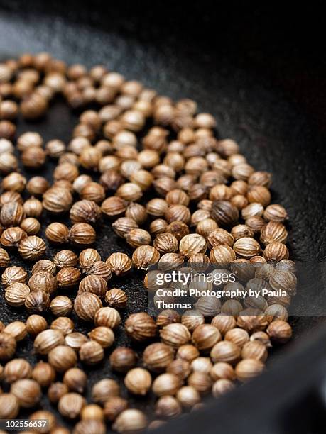 toasting coriander - coriander seed stock pictures, royalty-free photos & images