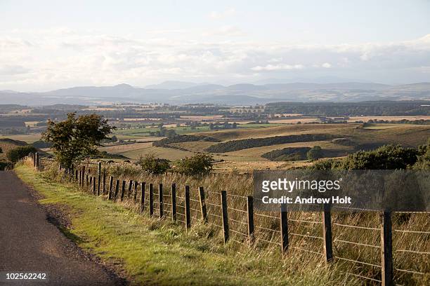 rural countryside in perthshire scotland - perthshire stock-fotos und bilder