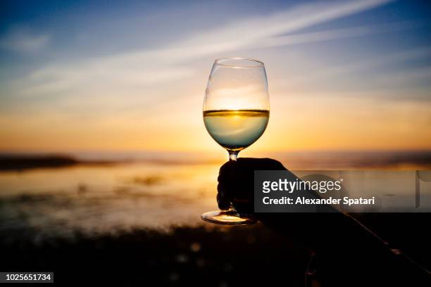 silhouette of glass with white wine against sunset at the ocean beach - alentejo photos et images de collection
