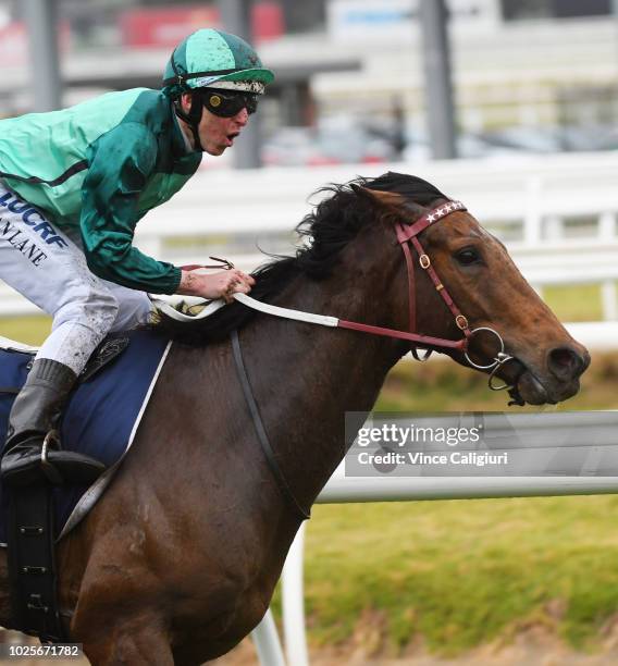 Damian Lane riding Humidor wins Race 7, Memsie Stakes during Memsie Stakes Day Melbourne Racing at Caulfield Racecourse on September 1, 2018 in...
