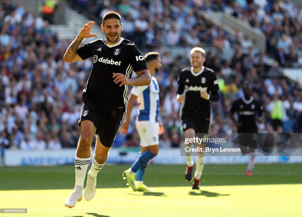 Brighton & Hove Albion v Fulham FC - Premier League