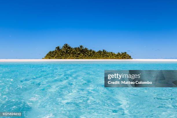 beach in aitutaki lagoon, cook islands - isole cook foto e immagini stock