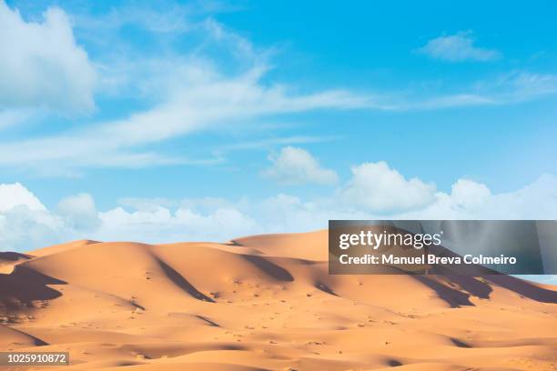 erg chebbi desert - オアシス ストックフォトと画像