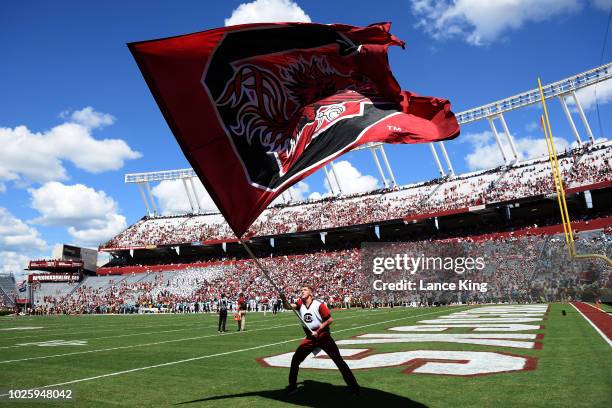 Cheerleader of the South Carolina Gamecocks waves a flag during their game against the Coastal Carolina Chanticleers at Williams-Brice Stadium on...