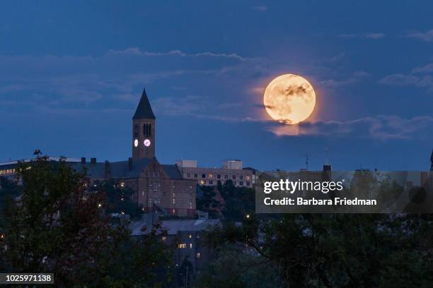 sturgeon moon over cornell - cornell university stockfoto's en -beelden