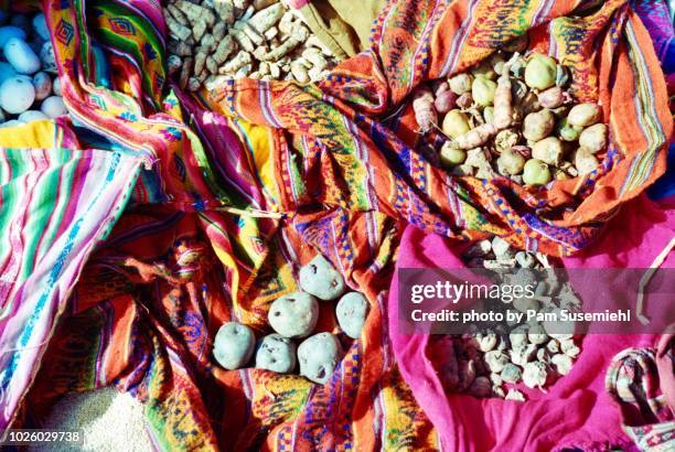 variety of potatoes on colorful textiles - uros inseln stock-fotos und bilder