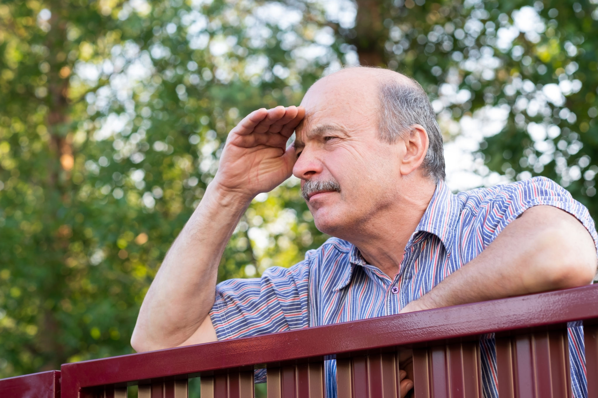 fence inspection