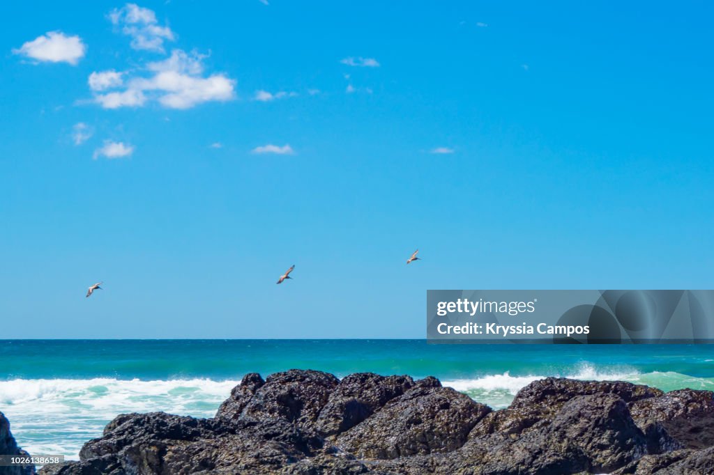 Waves Hit the Rocks Near the Beach at Playa Langosta, Guanacaste - Costa Rica