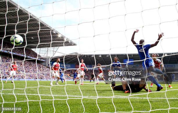 Sol Bamba of Cardiff City celebrates as Danny Ward of Cardiff City scores his team's second goal past Petr Cech of Arsenal during the Premier League...