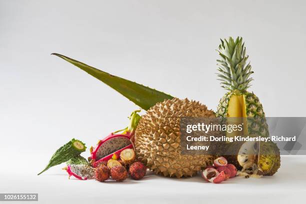 spiky fruit scene with sliced fruit (bitter melons, dragon fruit, rambutans, durian, aloe vera, lychees, pineapple, soursop) - bitter aloe stock pictures, royalty-free photos & images