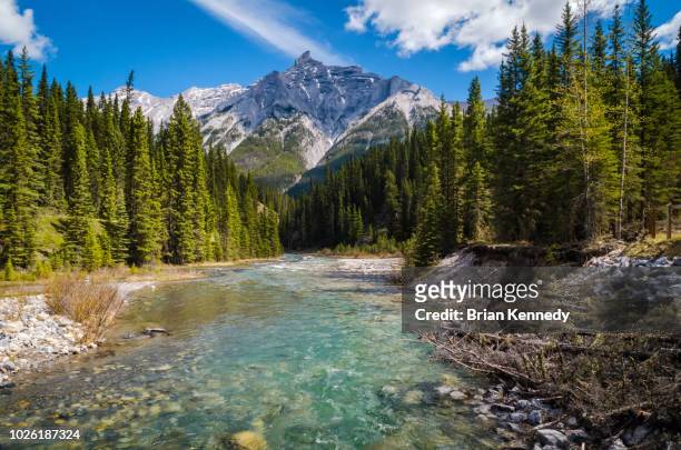 spray river mountain landscape - paisajes de canada fotografías e imágenes de stock