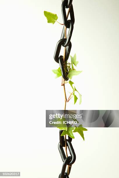 ivy and black chains. - broken chain stock pictures, royalty-free photos & images