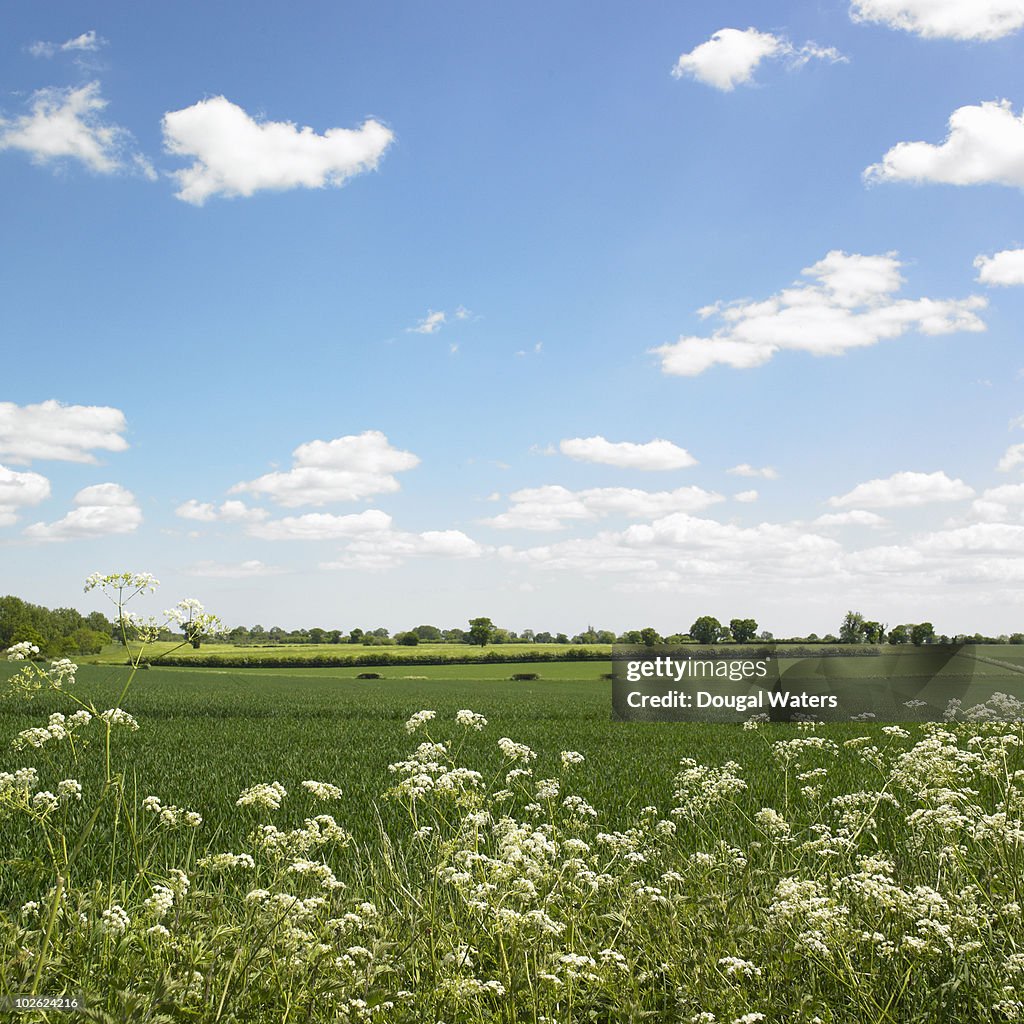 View across countryside landscape.