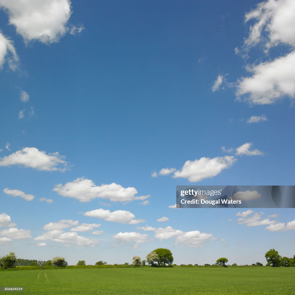 Field and sky in countryside.