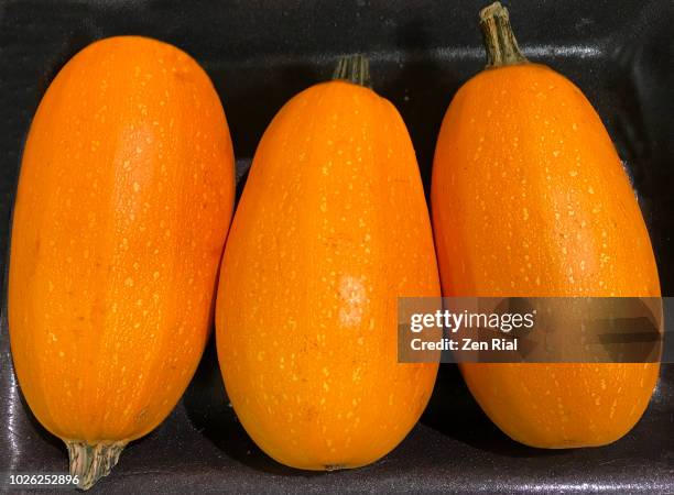 three spaghetti squash- cucurbita pepo - side by side on black background - spaghetti squash stock pictures, royalty-free photos & images