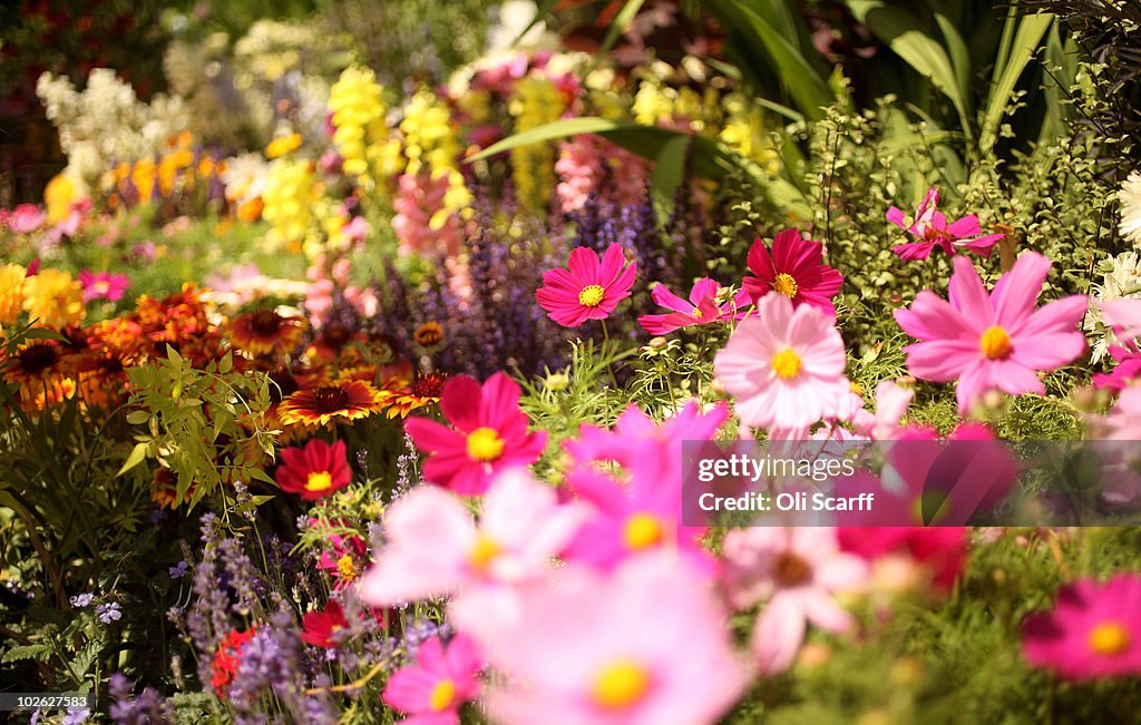 The Annual Hampton Court Flower Show Is In Full Bloom