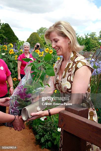 Sophie, Countess of Wessex attends the press preview at the Hampton Court Palace Flower Show at Hampton Court Palace on July 5, 2010 in East Molesey,...