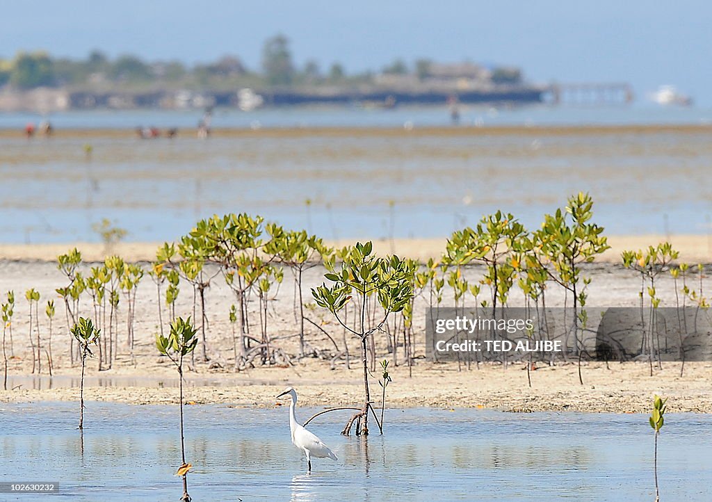 TO GO WITH FEATURE STORY PHILIPPINES-ENV