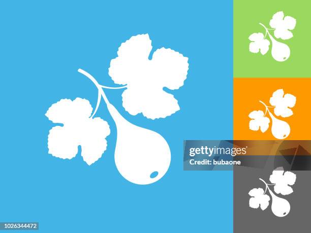 fig fruit flat icon on blue background - figs stock illustrations