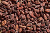 Cocoa beans as background