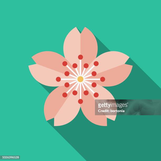 illustrazioni stock, clip art, cartoni animati e icone di tendenza di icona di sakura flat design japan - fiore di ciliegio